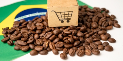 Café segue em pressão baixista por nova safra brasileira e cai nesta sexta (01)