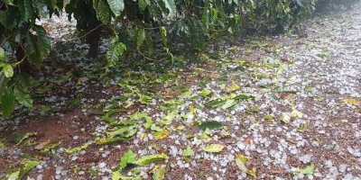 Ciclone e frente fria levam chuva, ventos e granizo a áreas produtoras de café nesta 3ª (1)