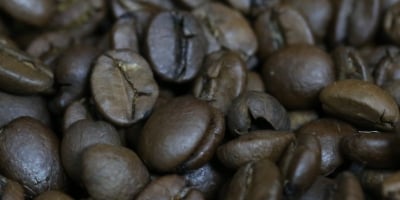 IBGE passa a ver aumento na produção de café do Brasil em 2025 e aponta alta menor do preço