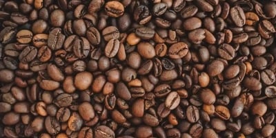 Café amplia perdas em NY e fecha com queda de mais de 1%; clima da safra 2027 entra no radar
