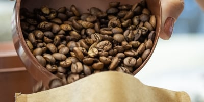 Região do Cerrado Mineiro movimenta mais de R$ 1 milhão no 13º Prêmio e amplia projeção internacional dos cafés de origem controlada