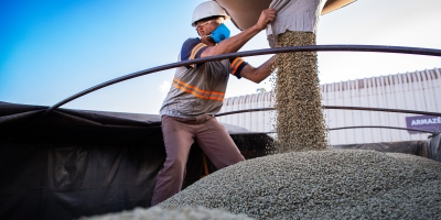 Café fecha em alta com apoio do câmbio, mas mercado segue em alerta com oferta global