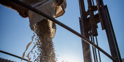 Abertura do café começa mista nas bolsas, com arábica em alta e robusta em queda