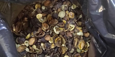 Operação conjunta apreende mais de 82 mil quilos de produtos irregulares relacionados à produção de café torrado