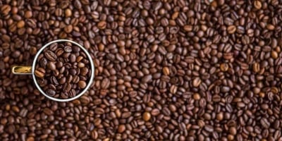 Café tem dia intenso de realização de lucros nas bolsas, preços acompanham no BR e perdem quase 5% no físico