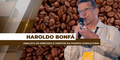 Desdobramentos da taxação de Trump pressionam o mercado cafeeiro, que reage com forte volatilidade