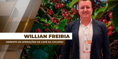 Região de Franca/SP registra bom pegamento da florada do café para safra 2026