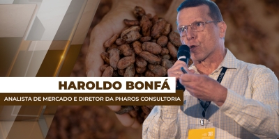 Clima irregular impacta desenvolvimento dos cafezais e deixa setor em alerta