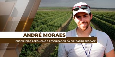 Safra/25 do café arábica do Brasil apresenta boa peneira, mas baixa rentabilidade