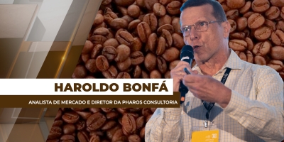 Café em jogo: vender agora ou esperar?