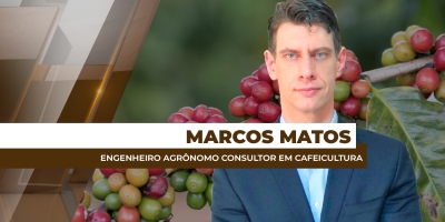 Mesmo com safra/25 de café arábica menor, Brasil ainda é o maior produtor e exportador da variedade para o mundo