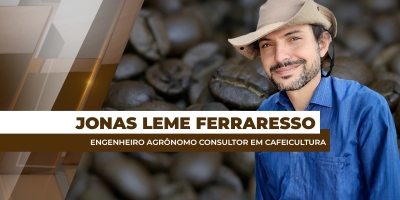 Quebra do rendimento da safra/25 do café arábica é maior que o esperado