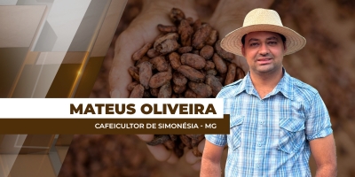 Baixo pegamento das floradas do café vem ocasionando podas tardias na região da Zona da Mata de MG