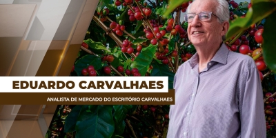 Entre a safra e os riscos, café continua pressionado