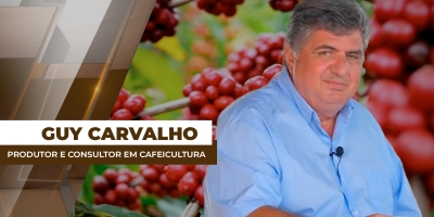 Safra/26 de café especial no BR segue com bom potencial produtivo e de qualidade