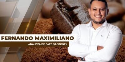 Boa safra/25 do Vietnã traz alívio para o mercado global do café