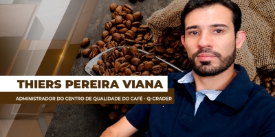 Colheita de café avança e mercado monitora qualidade da safra