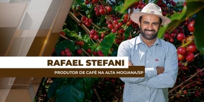 Região da Alta Mogiana registra boa florada do café, mas qualidade da próxima safra preocupa os produtores