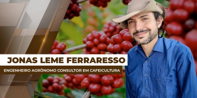 Safra/26 brasileira de café tem apresentado cenários distintos para o desenvolvimento dos frutos