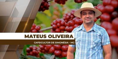 Safra/25 terá que ter 30% mais grãos para encher uma saca de café beneficiada na Zona da Mata