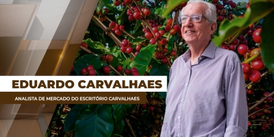 Arábica travado e conilon mais ativo: o que explica o momento do café