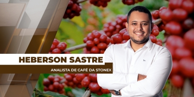 Volatilidade permanece como componente do mercado cafeeiro