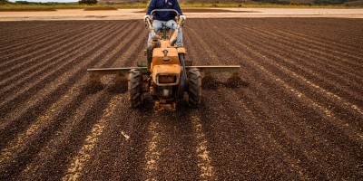 Café reage após forte queda e fecha em alta com suporte do câmbio e ajustes nas posições