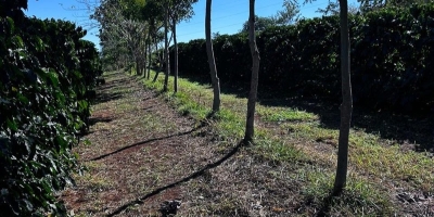 Cooxupé lidera iniciativa inédita no Brasil e viabiliza venda de créditos de carbono no café