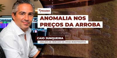 Pressão do boi em SP é diferente do que acontece em MT