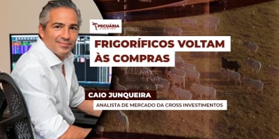 Mercado do boi tem leve melhora para arroba, de olho na demanda de início de mês