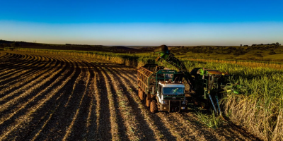 Safra 2026/2027 em Minas Gerais deve crescer 11,6% e  alcançar 83,3 milhões de toneladas de cana