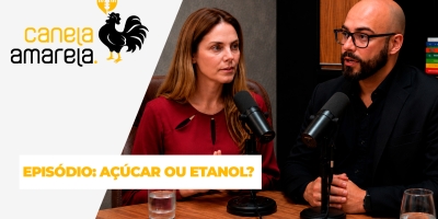 Canela Amarela Podcast:  Açúcar ou etanol? Entenda os cenários dos dois setores