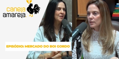 Canela Amarela Podcast - Cenário do boi gordo: Quando chegará o pico de preço?