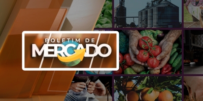 Devido problemas de escoamento da produção, mercado do arroz pode entrar em 2026 com estoques somando mais de 2 mi/t