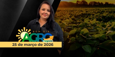 BOM DIA AGRONEGÓCIO - Café realiza lucros e cede em NY