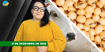 Queda forte do dólar dá suporte aos preços da soja e do milho em Chicago e café em NY nesta 5ª, mas pressionam preços no BR
