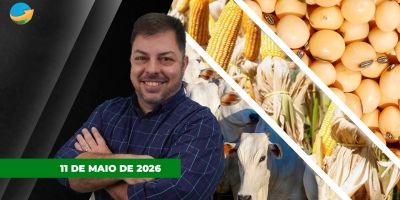 Soja e milho sobem em Chicago com ajustes para o USDA; Arroba em SP começa semana com pressão nas fêmeas