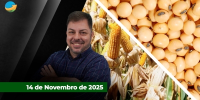 Relatório do USDA frustra expectativas dos agentes de mercado e cotações de milho e soja recuam forte em Chicago