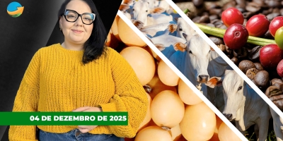 Soja e milho em Chicago sobem nesta 5ªe café acompanha em NY; boi recua na B3