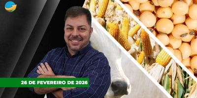 Novos preços da arroba atraem pecuaristas e destravam negócios. Soja perde força com dúvidas sobre visita de Trump à China