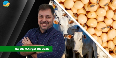 Frigoríficos fora das compras evitam nova rodada de alta para arroba; soja encerra em alta em Chicago apesar de mercado incerto e volátil