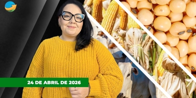 Clima preocupa para safrinha e milho sobe no futuro brasileiro; boi tem semana de pressão e soja de margens ajustadas