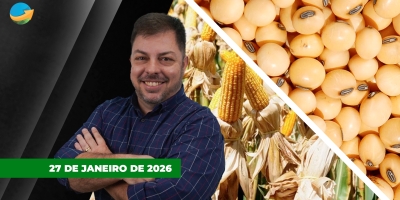 Soja sobe em Chicago com apoio do óleo mas no Brasil preços recuam; milho reage na B3 apesar de cenário negativo