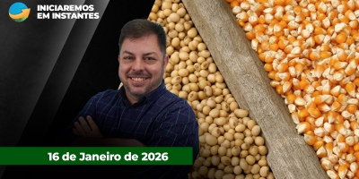 Milho e soja sentem relatório do USDA mas recuperam parte das perdas no encerramento da semana; boi tem semana travada e de poucos negócios
