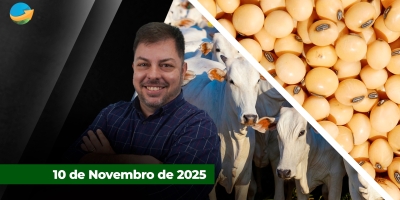 Soja sobe forte em Chicago com otimismo pela retomada dos serviços americanos; Frigoríficos fora das compras com poucas movimentações da arroba