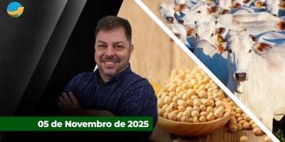 Arroba do boi tem nova alta e negócios pontuais de R$330 em SP; Soja sobe 12 pontos em Chicago com China confirmando acordo comercial