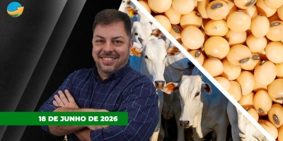 Soja tem dia de realização de lucros em Chicago; mercado do boi segue travado com incertezas sobre a demanda