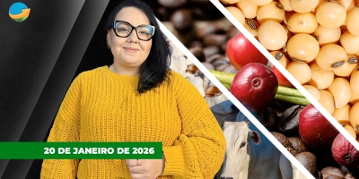 Boi acumula novos ganhos na B3 nesta 3ª feira atento à demanda externa, enquanto soja cai em Chicago e café em Nova York