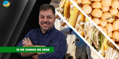 Arroba do boi à espera da demanda da Copa e soja com expectativa de alta com El Niño no segundo semestre