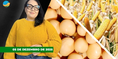 Disparada do dólar nesta 6ª feira pesa sobre soja, milho café e açúcar nas bolsas internacionais; boi segue estável na B3